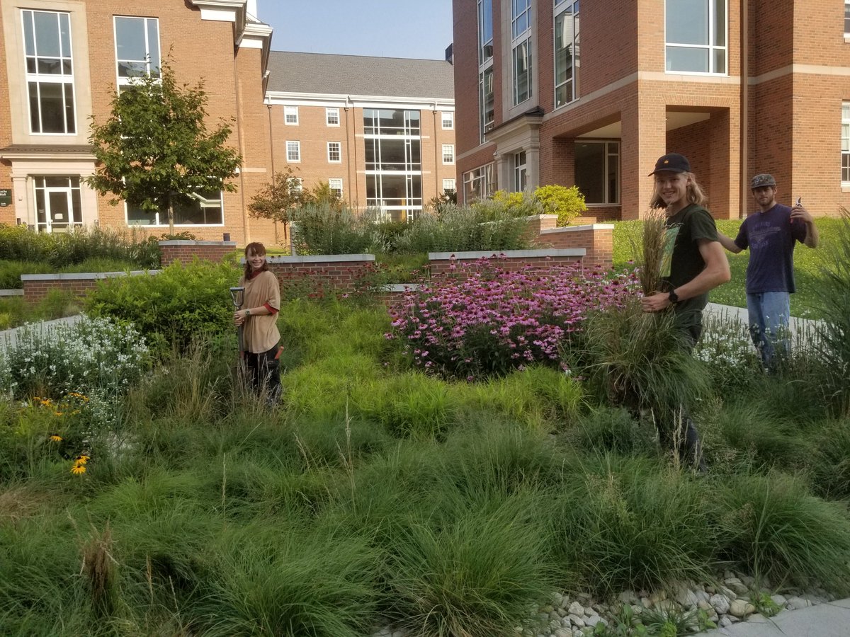RidgeCook01's tweet image. Working with @ohiou's Grounds Department, students put #sustainable #landscaping into practice while learning proper methods in #tree planting, designing #pollinator friendly #landscapes, and contributing to @OHIOsustainable initiatives.

#PBIOWriting
@PBIOWriting @PBIO_OhioU