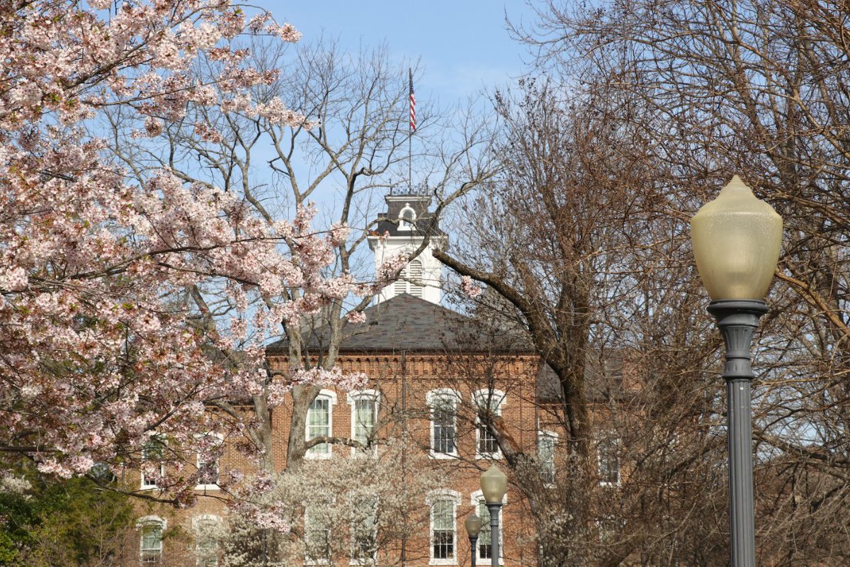 MC Admissions tweet media