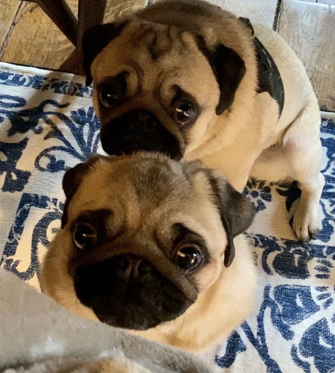 6 Storytelling Frameworks That Will Make Your Customers Beg to Buy | by  Greg Newby | Medium, image size:1077x1200