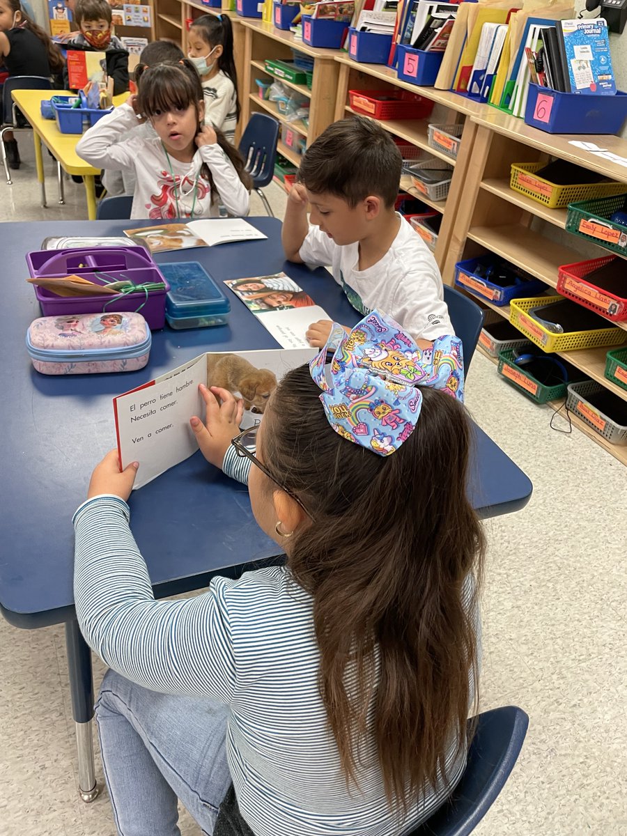 VinesPrimaryLMC's tweet photo. Reading is our superpower @desantigo_aisd!🦸‍♀️📚 D.E.A.R. day started first thing this morning as students and staff Dropped Everything And Read! #AldineReads #WeGrowGraduates #ReadingisOurSuperpower https://t.co/ZZTGSNt51U