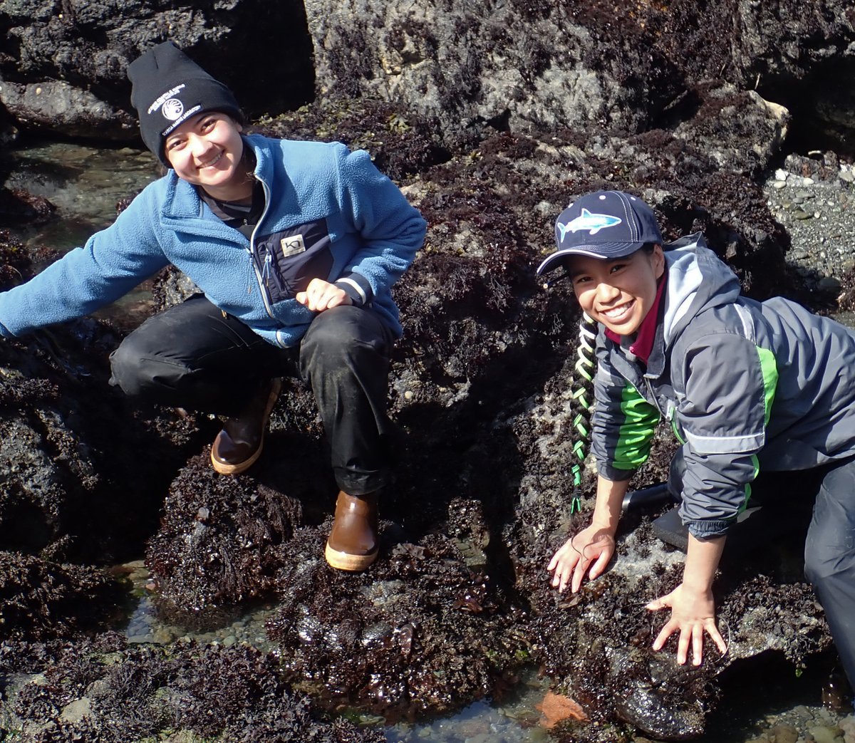 UC Davis Bodega Marine Laboratory tweet media