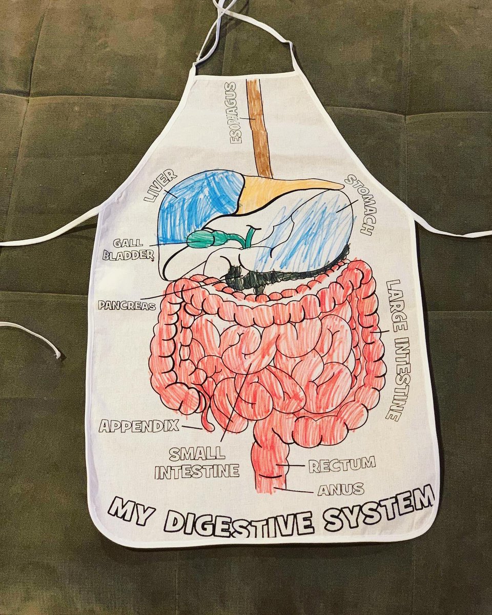 What GI doesn’t want a digestive system apron? These were great in teaching my son’s class for science day! Mommy went back to school! #MedTwitter #gitwitter #STEM #teachertwitter #science #teachermom