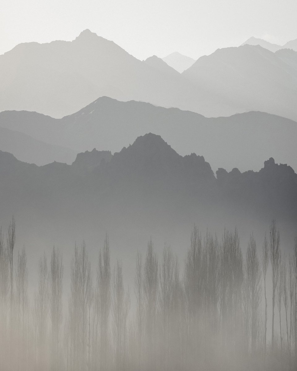 Josiah Gordon tweet media