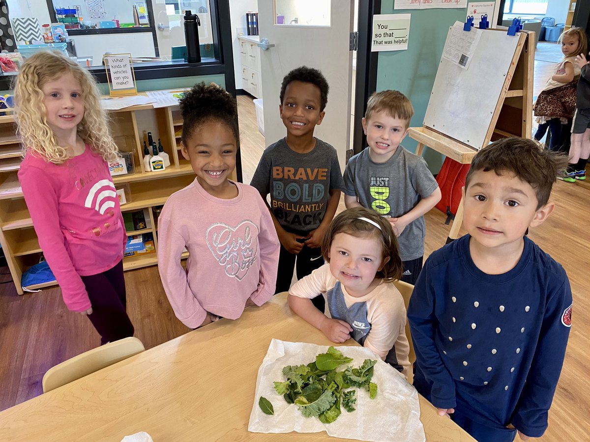 robyn hagerman (@robynhagerman) on Twitter photo Today we learned how to harvest and wash lettuce, kale and spinach leaves. Tomorrow those leaves will be served at Dr. Lathan’s lunch meeting. We are so honored that our garden is producing their food! Thank you <a href="/Foundation4SPS/">Foundation for SPS</a> and <a href="/MoPrek/">Wonder Years Preschool (SPS)</a>! Today we learned how to harvest and wash lettuce, kale and spinach leaves. Tomorrow those leaves will be served at Dr. Lathan’s lunch meeting. We are so honored that our garden is producing their food! Thank you <a href="/Foundation4SPS/">Foundation for SPS</a> and <a href="/MoPrek/">Wonder Years Preschool (SPS)</a>!
