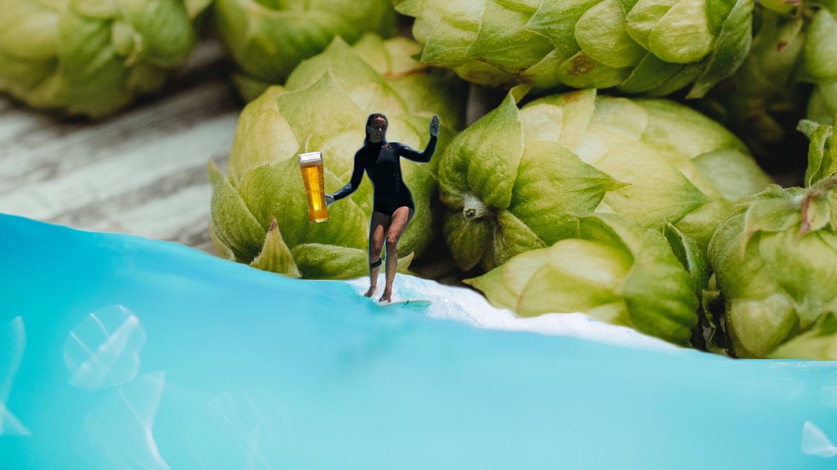 WavePoolMag_'s tweet image. Barreled, a $30 million surf park with lodging units, a campground, and a restaurant took a major step forward this week. ETA 2024. Who's ready to surf Washington?
wavepoolmag.com/craft-beer-the… 

#letswavepool #CuriosityAndStoke #surftank #wavepool #waves #stoke