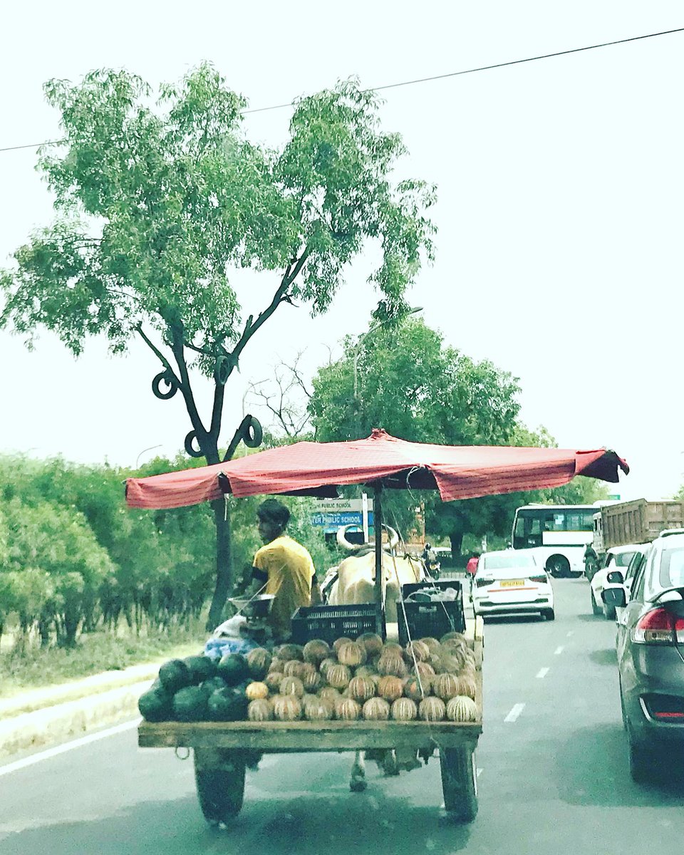 राह-ए-नज़र…

SunRoof !!

#Photo #Photographer #PhotoOfTheDay #PhotoChallenge2022April #BullockCart #FruitVendor