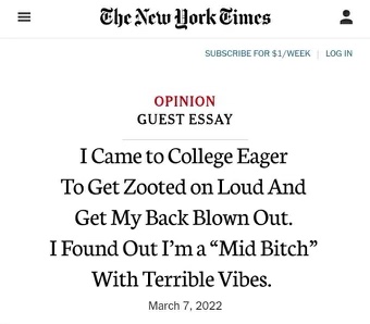 most girls at college fit this description