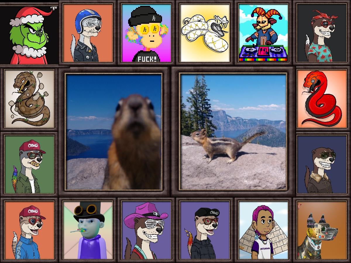 Just a taste of some awesome #nfts you can find on #Hedera and #tezos  
<a href="/ProjectSerpent/">TheSerpentProject.hbar | NFT (SOLD OUT)</a> Gen 2 coming soon!!🐍🌲🐍
<a href="/OTTEZnft/">Ottez</a> Fusion coming soon!! #Ottez 🦦🦦🦦
<a href="/LilMonkiNFT/">Lil Monki</a> &amp; <a href="/TheLilUniverse/">Lil Universe</a> 🙉🙊
@UGA_NATI0N 🐒🐒🐒
<a href="/houseofskratz/">House Of Skratz (PUBLIC SALE NOW CLOSED)</a> 🐀🎵🐀🎵
<a href="/Tezzlesofficial/">Tezzles | Sold out</a> 🎩🎨
@Hbar_Migos 🇲🇽🌮