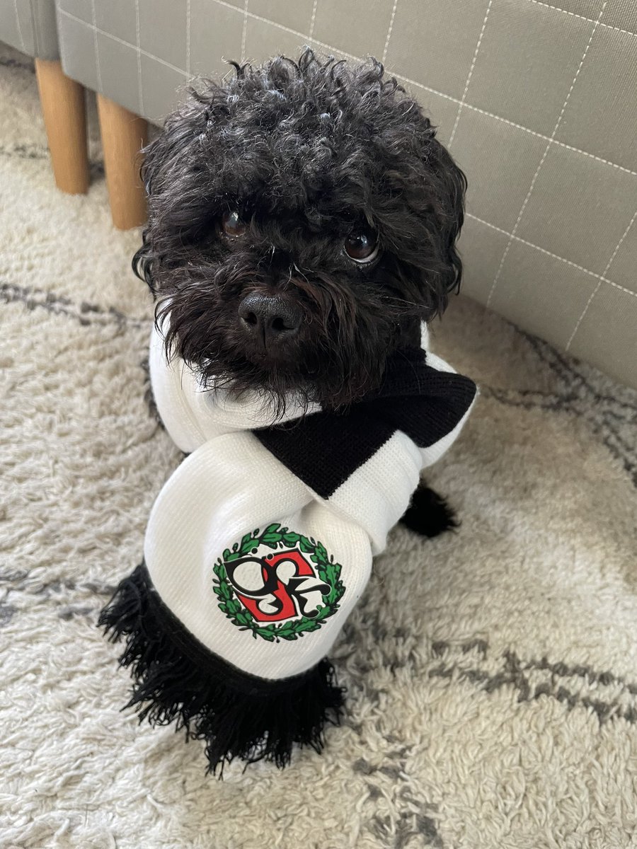 Oskar Eriksson tweet media