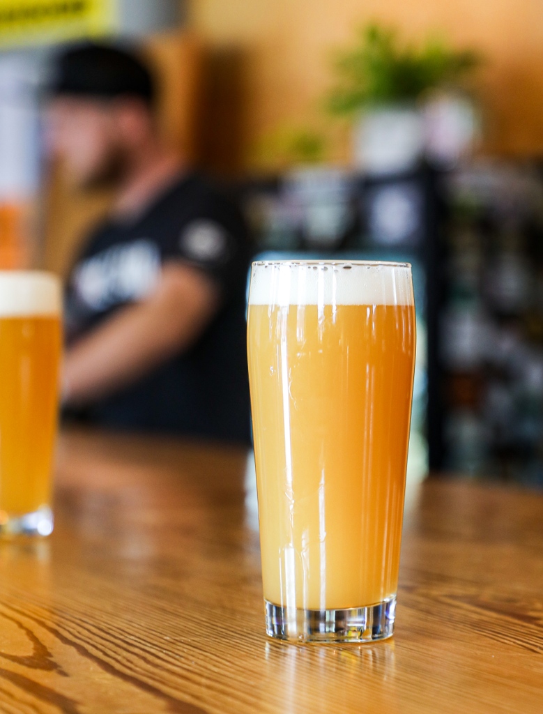Shady Tactics, while dry-hopped with Citra, Mosaic, and Galaxy, still gives off dry white wine flavors from Nelson hops. It’s soft, smooth, and full-bodied with bursting flavors of grapefruit, berries, and citrus.