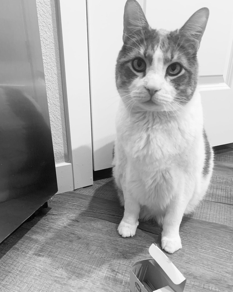 Lvl_Up_Together tweet media