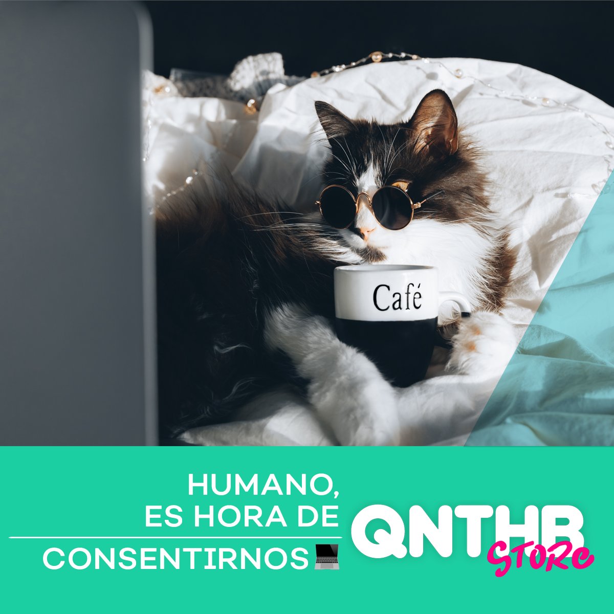 qnthb_'s tweet photo. Los reyes del hogar se merecen lo mejor. 🐶🐱🐾

No dejes de consentirlo con los mejores productos 🛒🎁

Visita nuestra página 💻https://t.co/R88EwtejXb
 o descarga nuestra app  📲https://t.co/MhEZdDOte9 https://t.co/9AuS1IK6HT