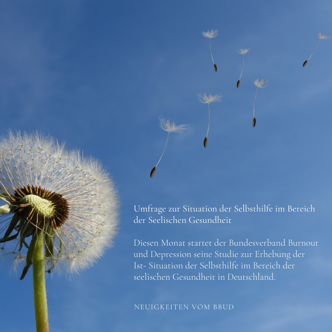 Diesen Monat starten wir unsere Umfrage zur seelischen #Gesundheit und freuen und auf die #Ergebnisse unserer #Studie! Weitere #News gibt's ab sofort auf unserer neuen Presse-Seite: bvbud.de/presse