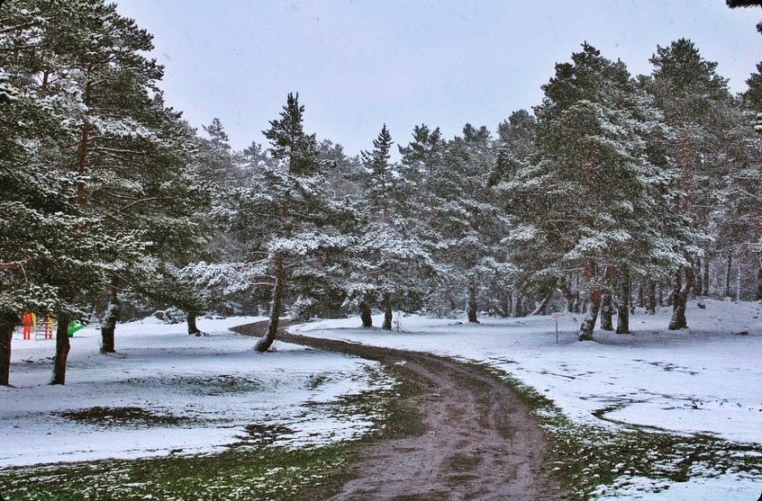 tokatadair's tweet photo. Reşadiye / Kızılcaören köyü / Kurt gölü’nde bugün muhteşem görüntüler vardı 🧿 
Bungalovlar faaliyete geçtiğinde buranın tadı, keyfi başka çıkacak. Sabırsızlıkla bekliyoruz 💚 https://t.co/Pr8kszXigW