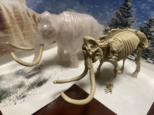 川崎悟司 先月に出てますけど プラモデル図鑑 マンモス いただいたので ミニ図鑑の絶滅動物イラストを担当しました T Co 5cwjqpeesp Twitter