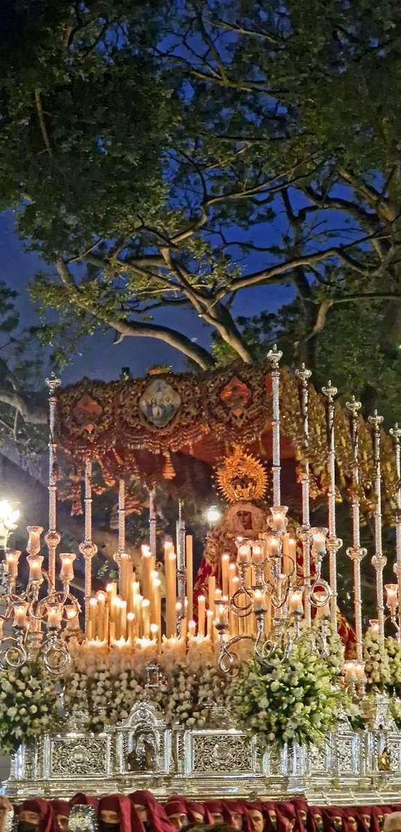 Hermandad de la Columna tweet media