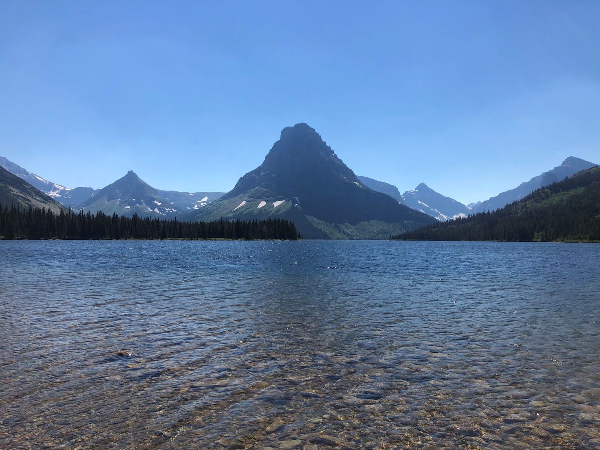 Debbie Picard tweet media