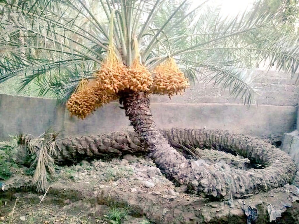 من تعود على العطاء
"لا تعوقه انكسارات الزمن" 

#حاجه_كانت_بخاطرك