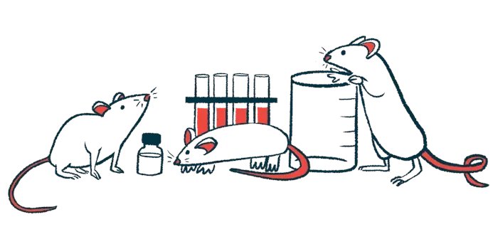 pulmonaryfibros's tweet photo. Oral senolytic therapies boosted levels of alpha-Klotho, a protective protein that declines with age and shields animal models against IPF. https://t.co/Qbd3xzFip7
#PFNews #pulmonaryfibrosisnews #livingwithPF #PFresearch #treatingPF https://t.co/YNv3lyH270