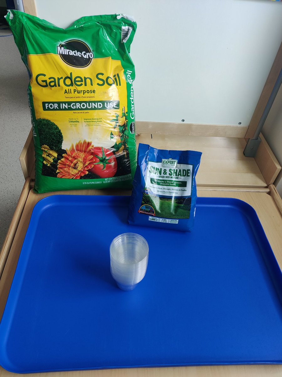 Spring is here and guess what we are growing?! Grass seeds!! Great project to work on our fine motor skills, counting, and observe change overtime! <a href="/HumbleISD_LLE/">Lakeland Elementary</a> <a href="/HumbleISD_PREK/">HumbleISD ECE</a> <a href="/HumbleISD/">Humble ISD</a>