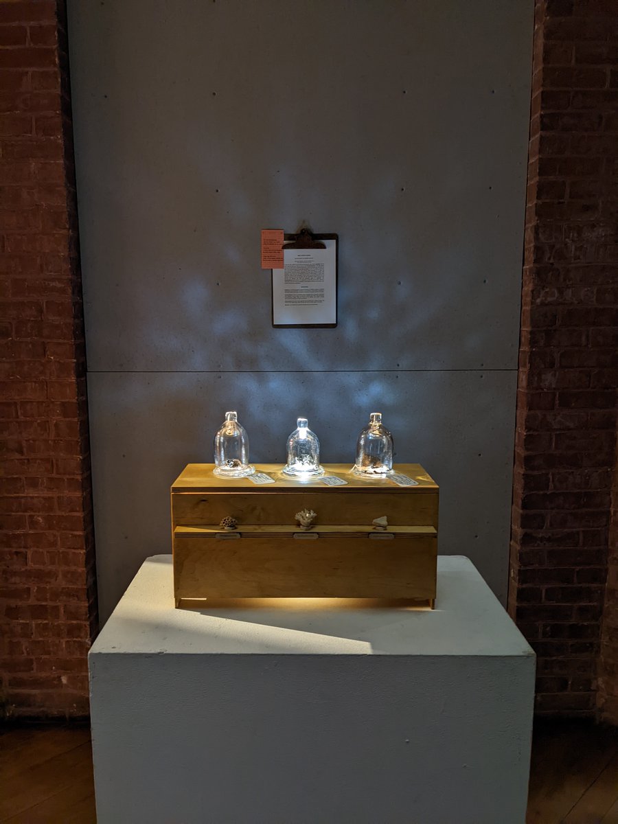 kevhwong's tweet photo. I am very grateful to be part of @RIEPSCoR Vis-a-thon this year! This collaborative piece with @risd's Daiqing Zhang is named "The Unseen Stress" as it showcases the variability of different coral species to thermal stress through an artistic lens. https://t.co/SE5BXZjKDE
