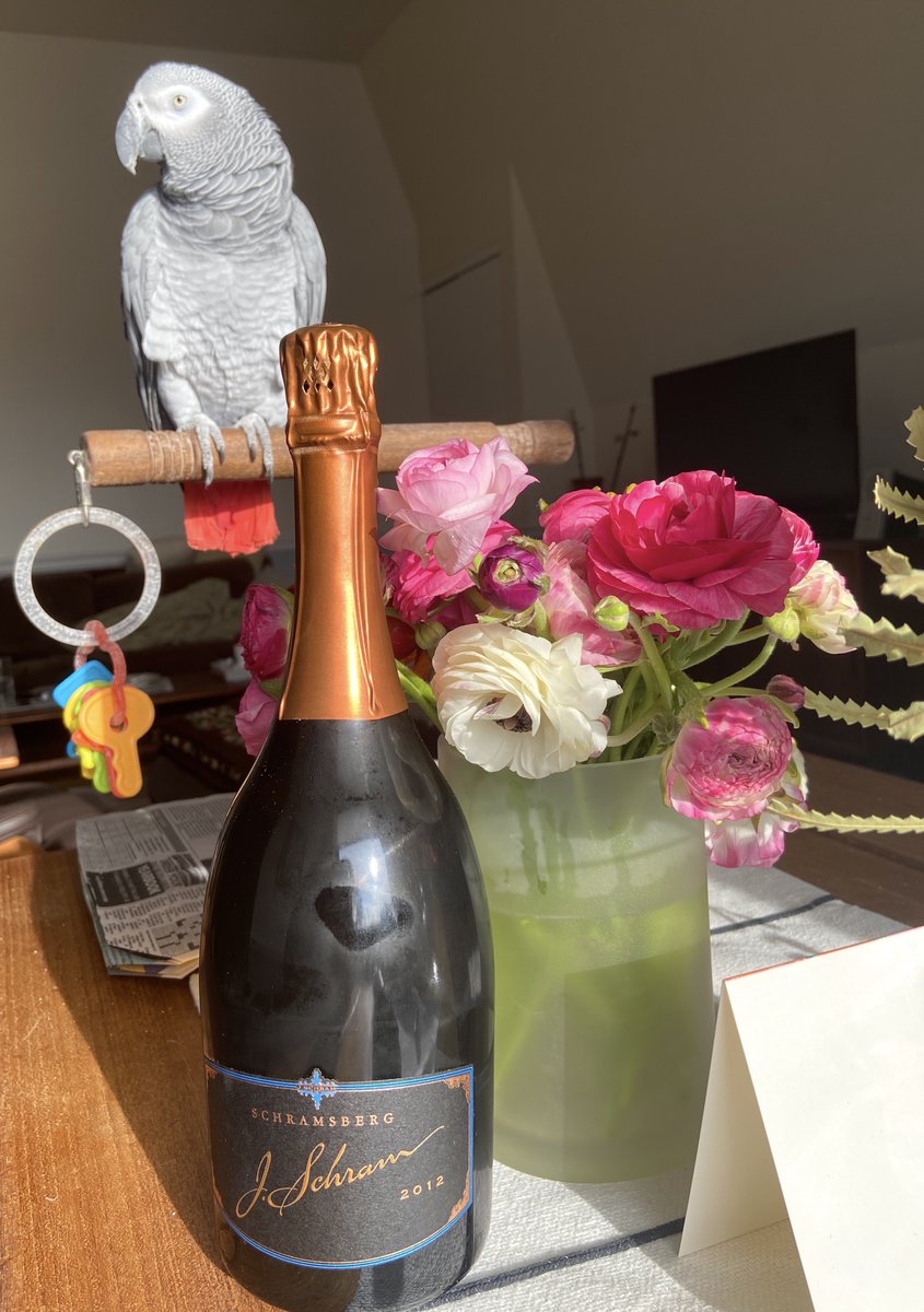 Dr. Elizabeth Norton tweet media