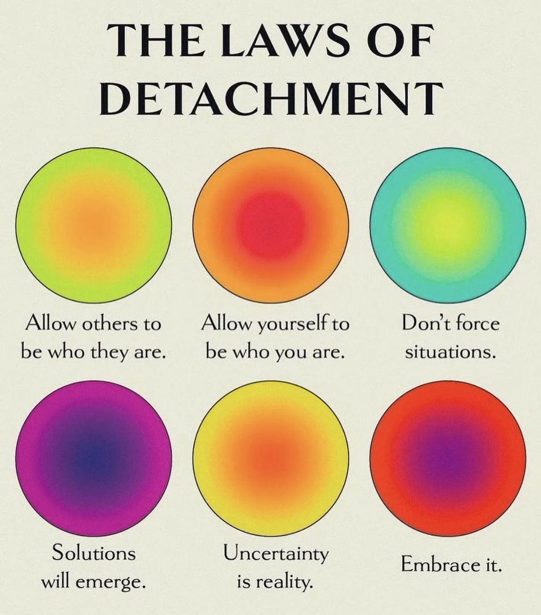 vee_fi's tweet image. good morning 
        🤍