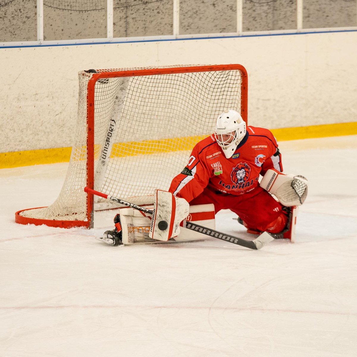 Hanhals Kings tweet media