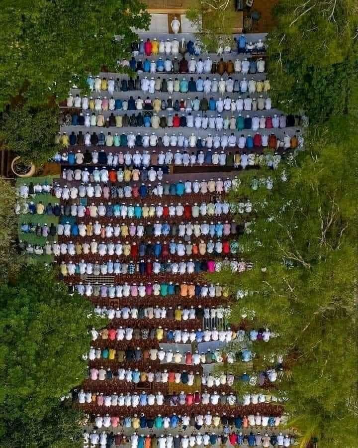 smhasnat02's tweet photo. Beauty of Islam ❤️ https://t.co/d5ZfLtdlDt
