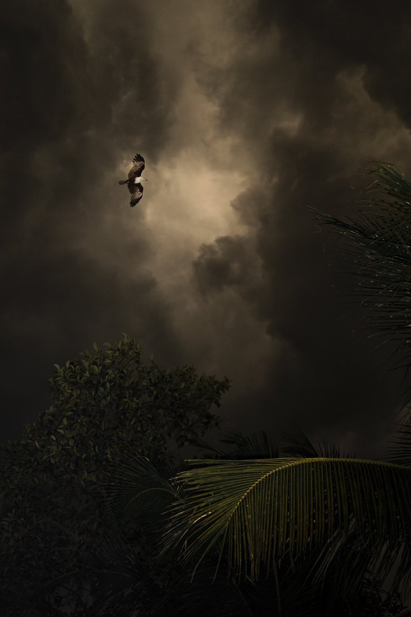 Navaf Sharafudheen (@navafsharaf) on Twitter photo Here is my submission for <a href="/NamasteyNFT/">NamasteyNFT | The PROLOGUE | LIVE ON OPENSEA</a>
‘Fly High’
Our Ambition is what helps us make our dreams come true. It's what makes us fly higher and higher.
#NamasteyNFTblr #NamasteyNFTPhotography Here is my submission for <a href="/NamasteyNFT/">NamasteyNFT | The PROLOGUE | LIVE ON OPENSEA</a>
‘Fly High’
Our Ambition is what helps us make our dreams come true. It's what makes us fly higher and higher.
#NamasteyNFTblr #NamasteyNFTPhotography