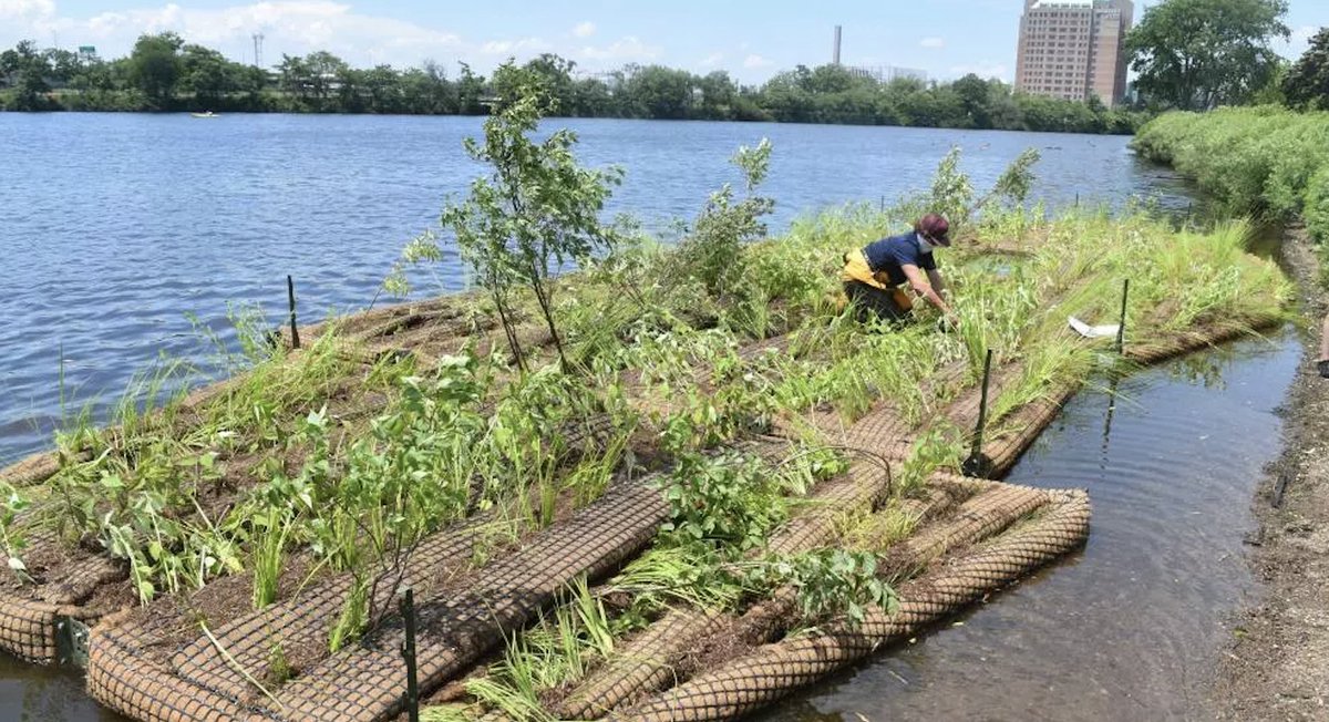 This spring, the @CharlesRiverCRC and @MITSeaGrant are working together to bring floating wetland activity kits to CPS classrooms! Visit bit.ly/3JtPb32 to learn more about how local organizations are engaging Cambridge youth to protect the Charles.