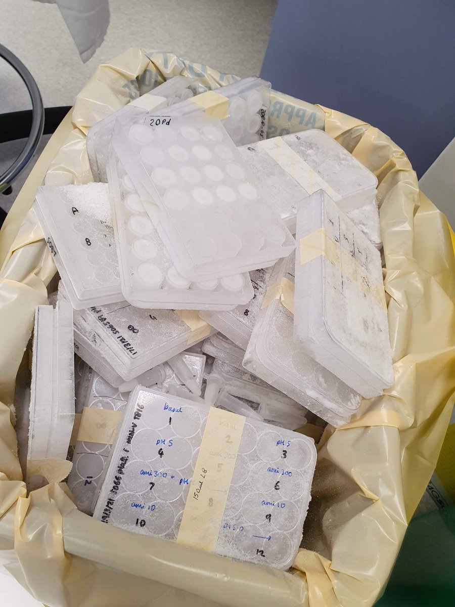 Emily Miedzybrodzka (@emilymiedz) on Twitter photo End of my PhD coinciding with <a href="/IMS_MRL/">Inst Metabolic Science-Metabolic Research Labs</a>'s first ever green week led to a very cathertic clear out of old samples, and organoids frozen in a pre-lockdown panic! Glad to reduce energy waste #sustainability #freezerchallenge End of my PhD coinciding with <a href="/IMS_MRL/">Inst Metabolic Science-Metabolic Research Labs</a>'s first ever green week led to a very cathertic clear out of old samples, and organoids frozen in a pre-lockdown panic! Glad to reduce energy waste #sustainability #freezerchallenge