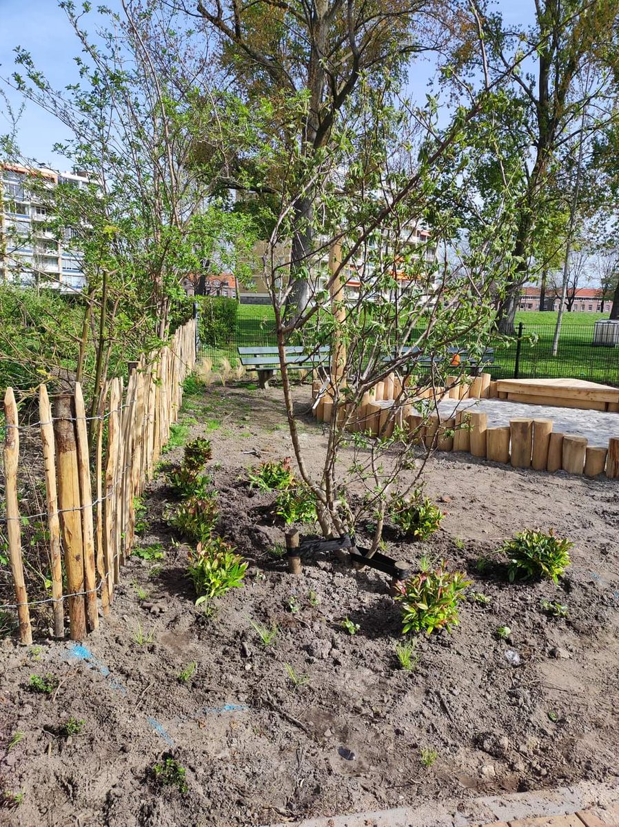 Bureau_RIS's tweet photo. Weer een stapje verder.... de robuuste picknickbanken zijn geplaatst en er is al wat beplanting ingeplant bij de nieuwe #natuurspeelplaats in #ParkMaasboulevard
#ontmoeten #natuurlijkspelen #Maas #DeGorzen @schiedam_nl #Multituin https://t.co/bHLz3QhyCk