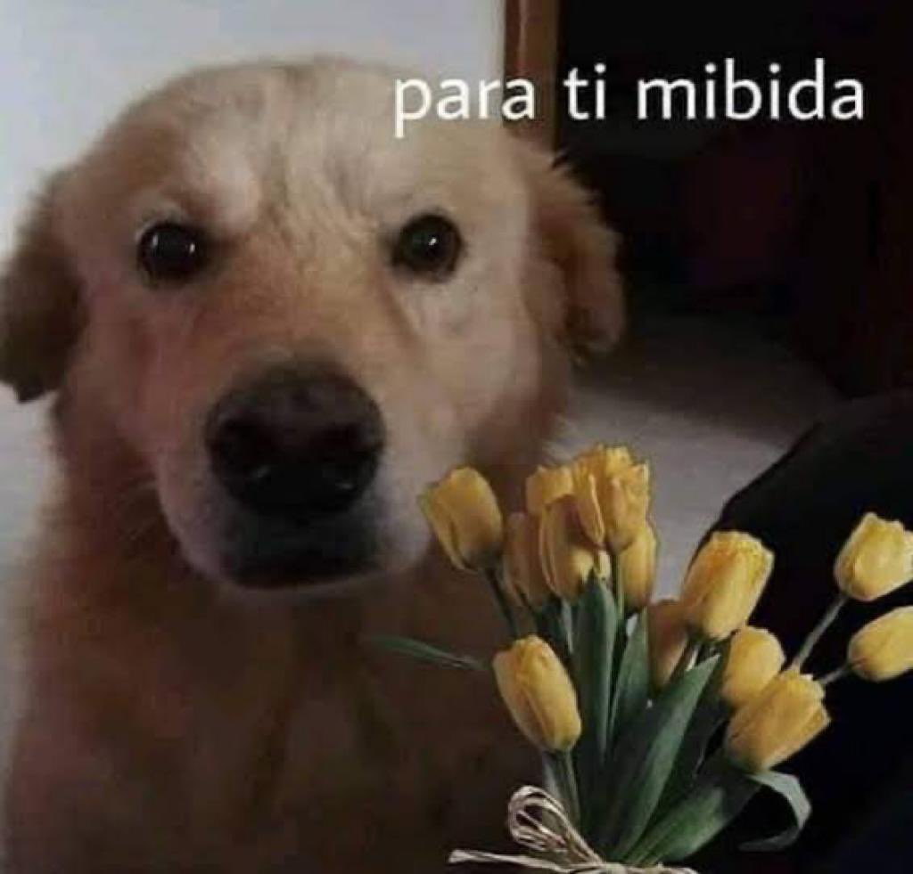 SergioLardi's tweet photo. @SuavesLomitos https://t.co/NA0KqI7LN4