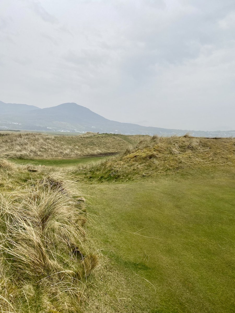 Jenny O'Reilly tweet media