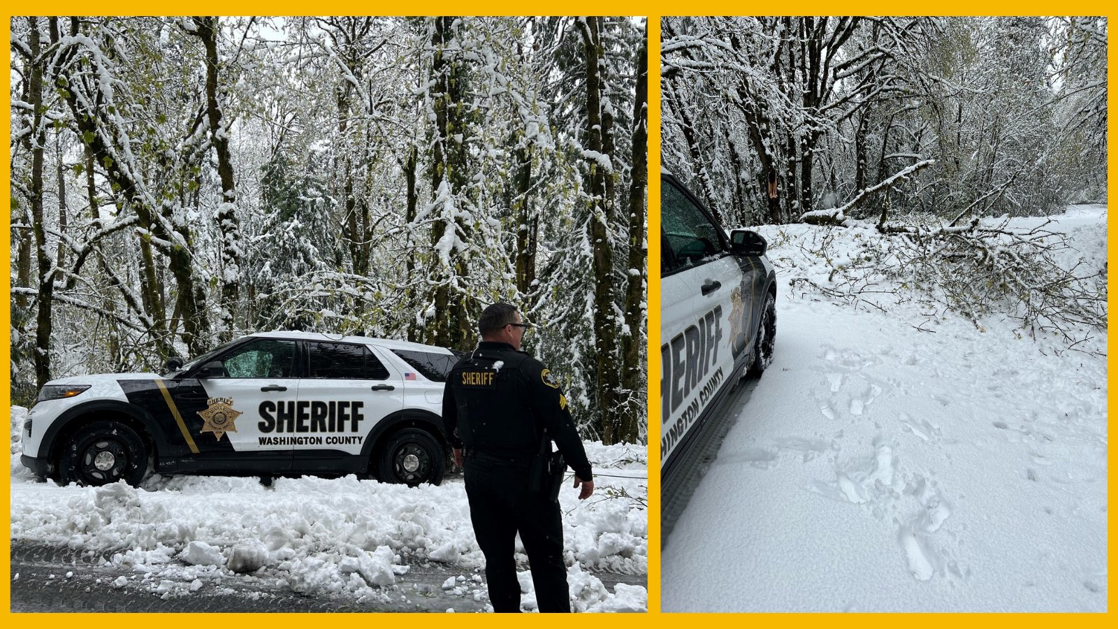 Washington County Sheriff’s Office (Oregon) on Twitter: "When there's