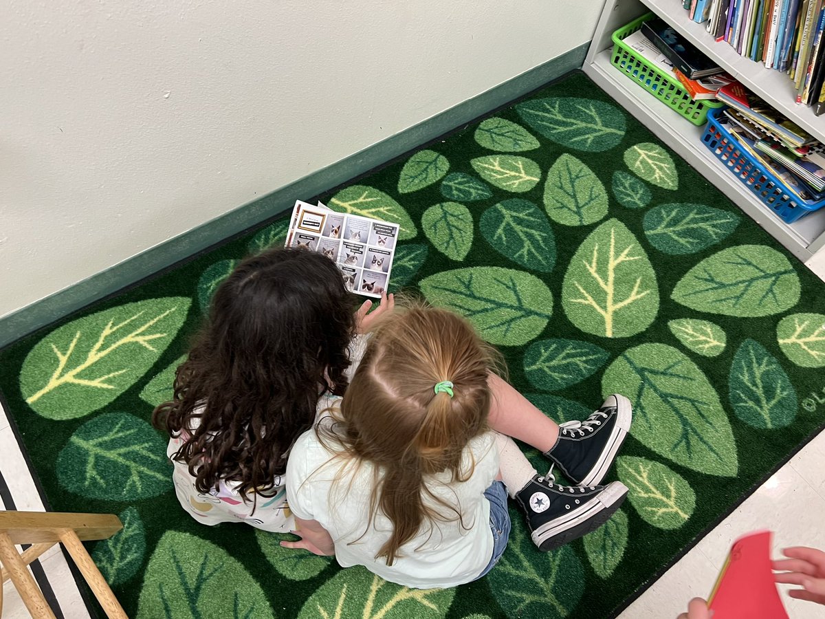 MrsGilArt's tweet photo. My favorite moments #readingislove 📚❤️ @GFESWildcats https://t.co/0ZRE1Zfex7