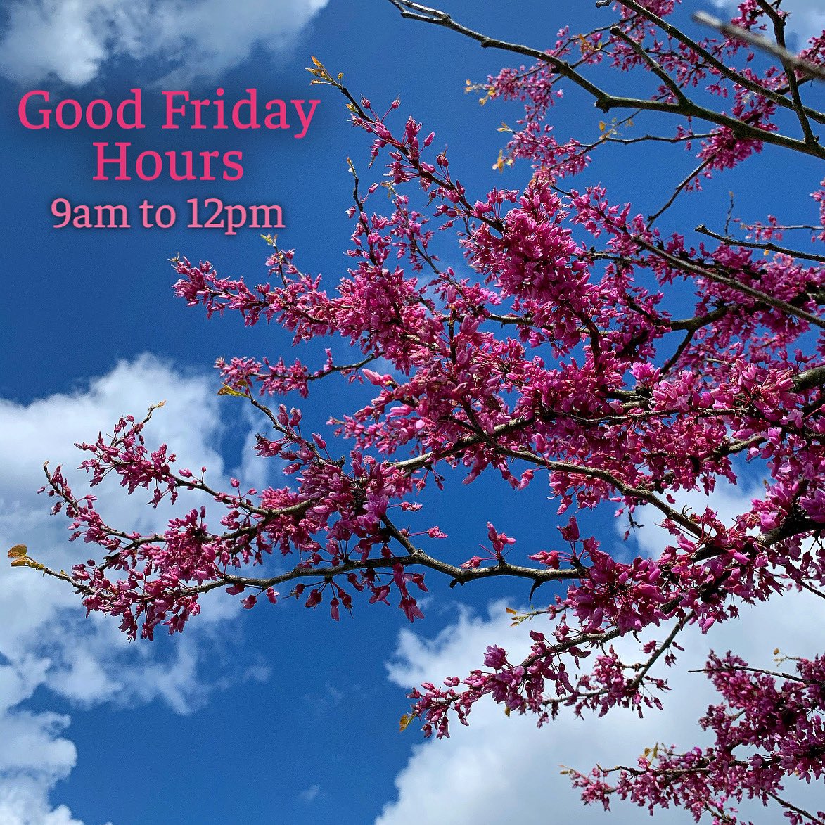 In observance of the #GoodFriday holiday, the Salato Center will be open 9am to 12pm (Eastern) on Friday, April 15th. Please plan your visits with us accordingly! 

The center will resume normal hours of 9am to 4pm on Saturday, April 16th.