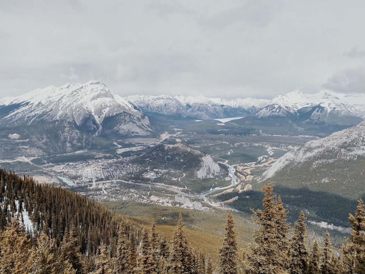 brand_stamp's tweet photo. A quick trip to the mountains never hurt anyone! It's important to take time to breathe and live in the moment to give yourself the chance to refresh and be in the best possible headspace so you can focus on growing your business.

#banff #refresh #Growth https://t.co/7H492MNBdF