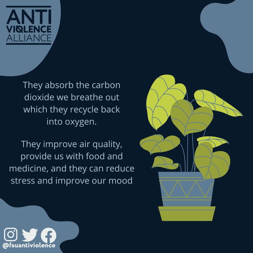 It's International Plant Appreciation day!!🌱🌷🌳🍄
-
#greeningmi #Greening #ava #internationalplantappreciation #Antiviolence #antiviolencealliance #plants