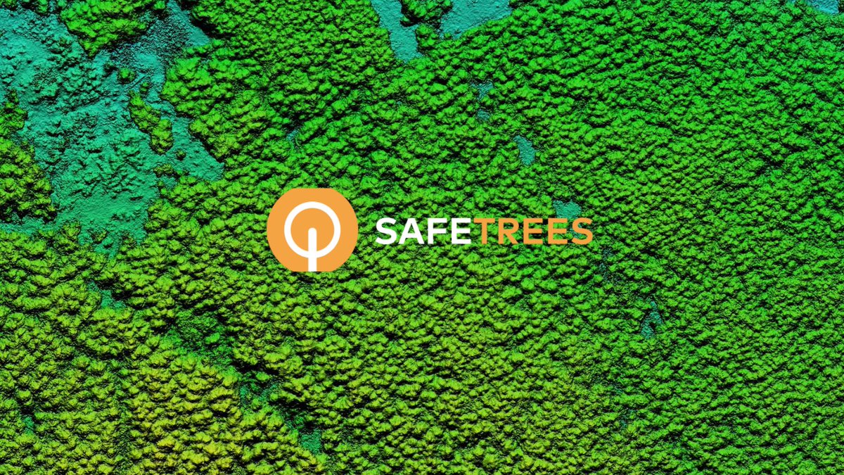 Trees_token's tweet photo. Tokenizing each authentic tree as TreesNFT allows a verifiable record for producing carbon credits. Learn more: https://t.co/sXmWd14VUF
#ClimateCrisis #ClimateActionNow #Trees2Gate #SAFETREES #TreesArmy https://t.co/4GuvL08MH3