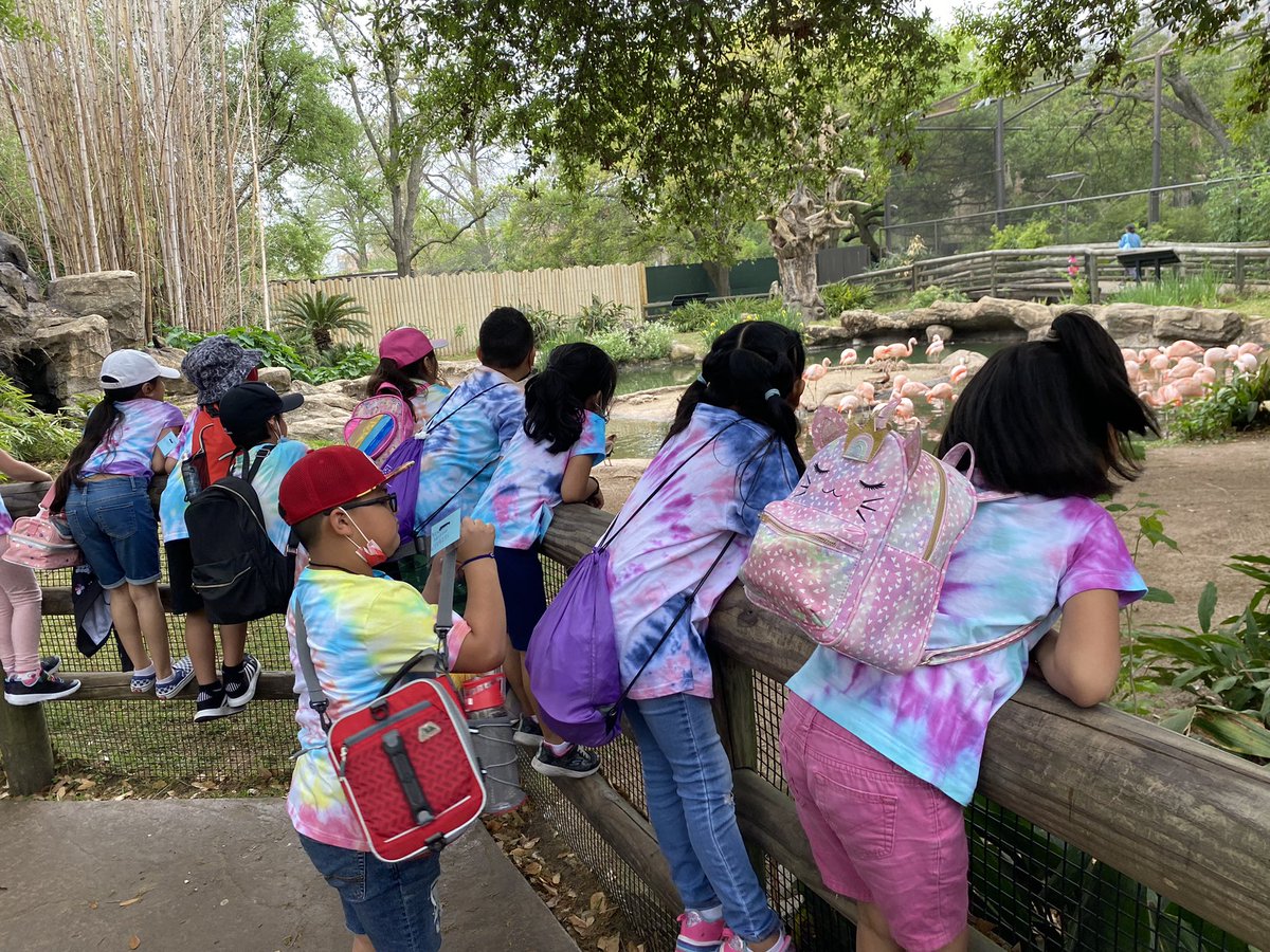 Zoo field trip was a COMPLETE success!!! 🥰 🐘 🦁 🦒 @WilsonES_AISD <a href="/houstonzoo/">Houston Zoo</a>