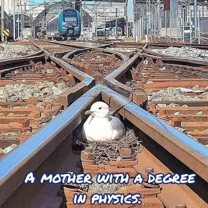 Science & Nature (@sci_nature0) on Twitter photo 
