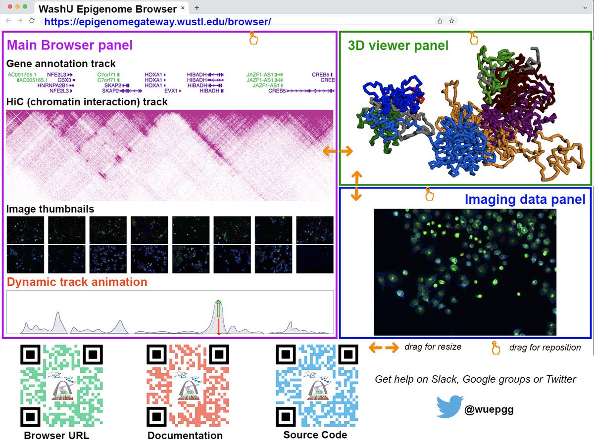 WashU Epigenome Browser (@wuepgg) on Twitter photo Welcome to check the 2022 browser update introduced by <a href="/NAR_Open/">Nucleic Acids Res</a>: academic.oup.com/nar/advance-ar…. We thank our user community for their suggestions/feedback to help us to grow. <a href="/WashUGenetics/">WashU Medicine Genetics</a> <a href="/twang5/">Ting Wang</a> <a href="/deed136/">Deepak Purushotham</a> <a href="/XiaoyuZhuo/">Xiaoyu Zhuo</a> <a href="/ChangxuFan/">Changxu Fan</a> Welcome to check the 2022 browser update introduced by <a href="/NAR_Open/">Nucleic Acids Res</a>: academic.oup.com/nar/advance-ar…. We thank our user community for their suggestions/feedback to help us to grow. <a href="/WashUGenetics/">WashU Medicine Genetics</a> <a href="/twang5/">Ting Wang</a> <a href="/deed136/">Deepak Purushotham</a> <a href="/XiaoyuZhuo/">Xiaoyu Zhuo</a> <a href="/ChangxuFan/">Changxu Fan</a>