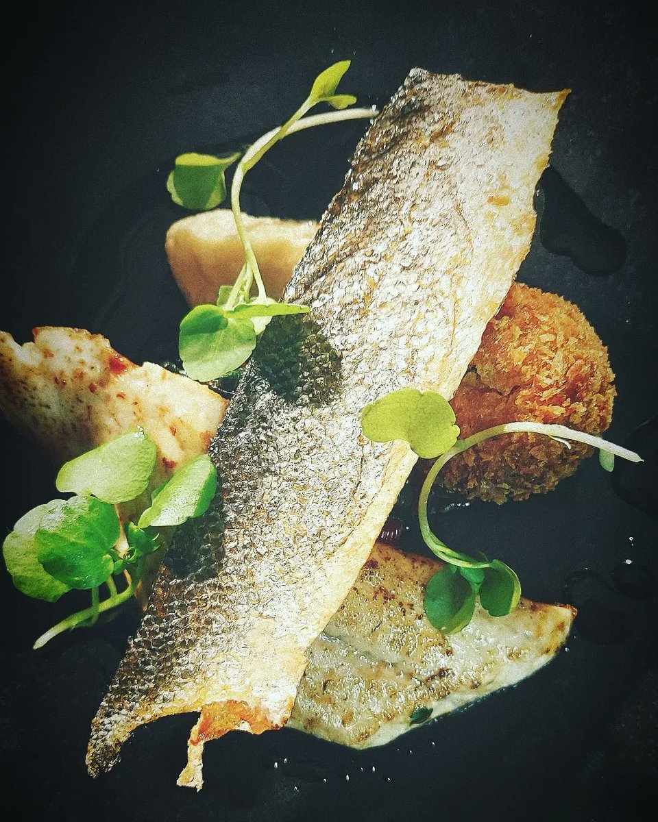 TheLivelyChef's tweet photo. My first ever competition &amp; what a fantastic day it was. Getting to meet  like minded people/chefs. 
A massive thanks to to everyone at
@UCBofficial &amp; @chandco
I enjoyed every minute of it. Congratulation on your win chef, well deserved 👏🏼 #finalist #chefoftheyear #chandco https://t.co/yiI0xgGigz