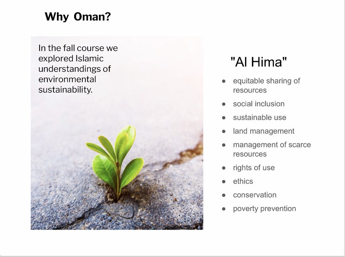MariaCurtis1's tweet photo. We discussed the long tradition of sustainability and resource management as exemplified in the Sultanate’s environmental policy making since the 1970s. We thank our students for their flexibility, good humor, and generosity of spirit, without which none of our work is possible. https://t.co/8TZlKME3z0