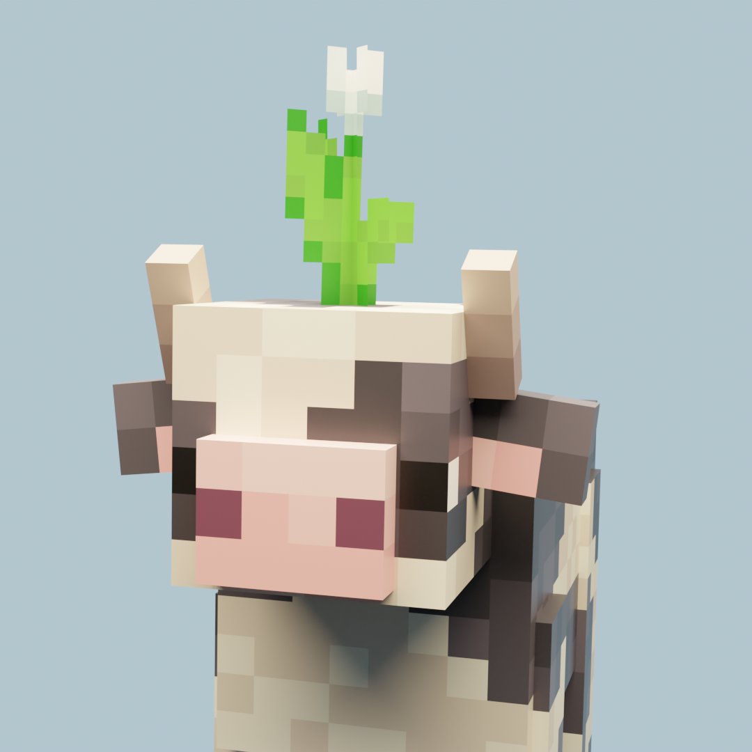 varieteaa tweet media