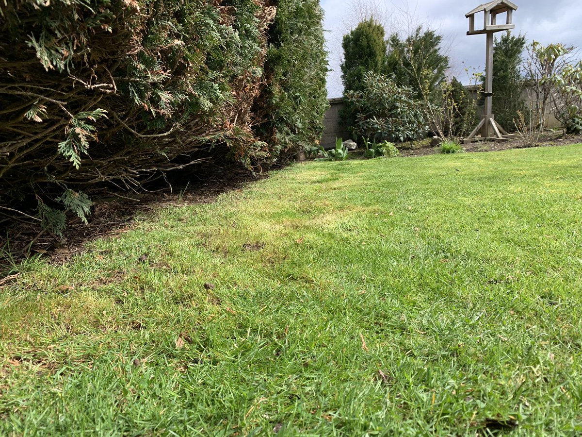 mechanics_tale's tweet photo. @Lawnflite_UK https://t.co/eWjtQKhu2b