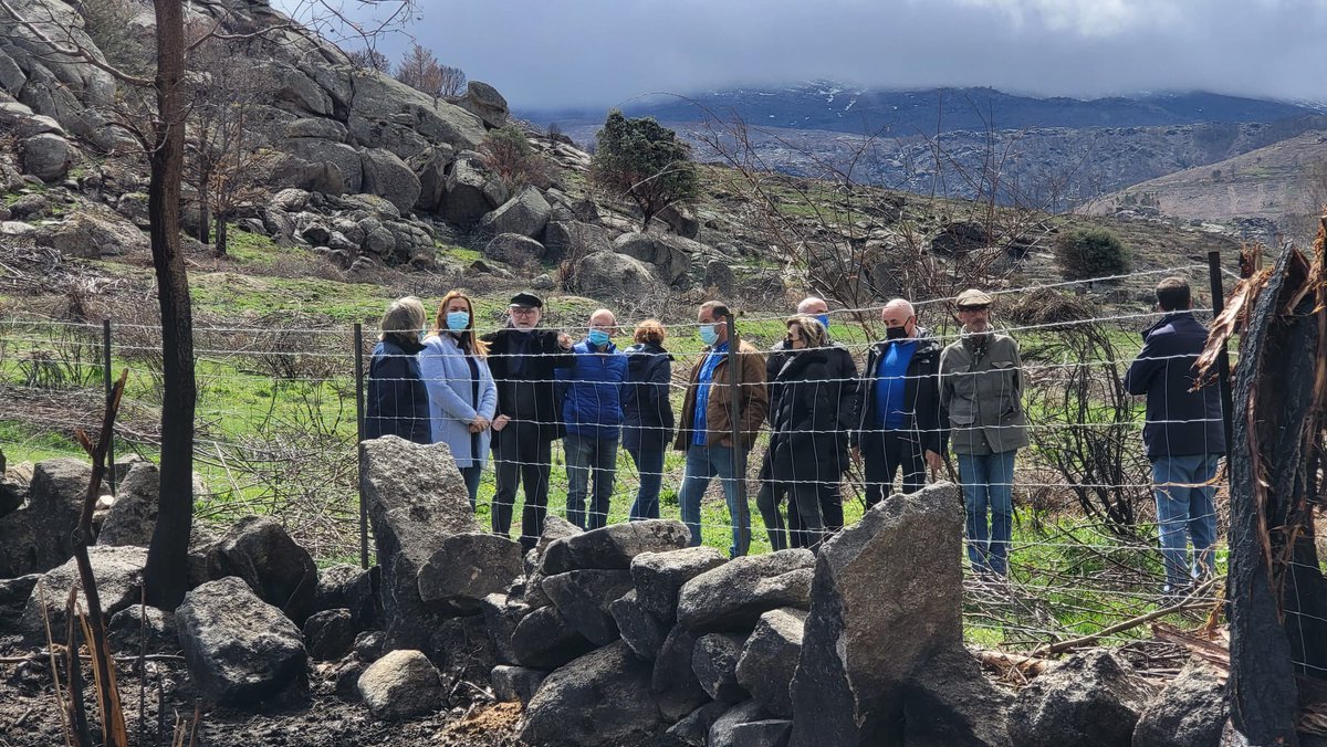 VirBarcones's tweet photo. Viendo las obras para la recuperación de la #Paramera.
Abierta convocatoria ayuntamientos.
Abriremos más líneas.
C✅mplimos.
📷 #AytoSotalbo @chd_duero #Tragsa @DGCyL https://t.co/nTBoy9gA4n
