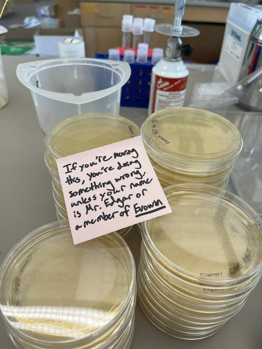 Things get serious during independent lab project time.